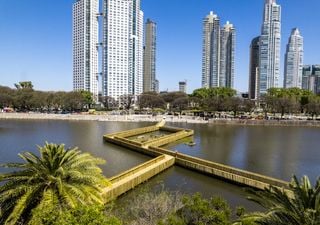 Reserva Ecológica Costanera Sur: guía del pulmón verde de Buenos Aires