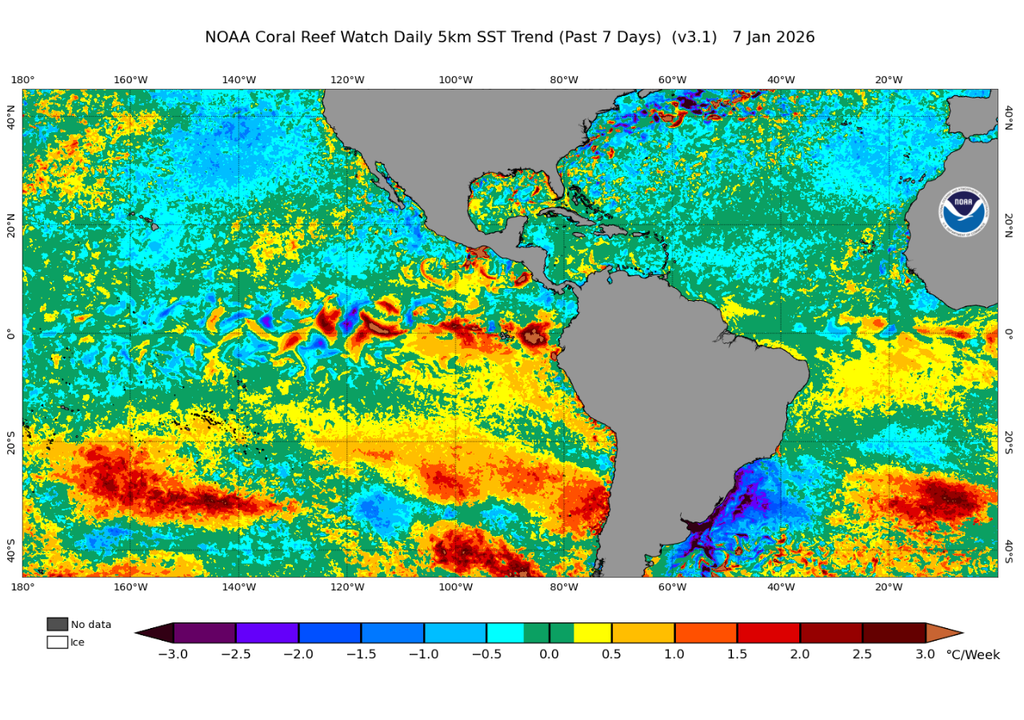 Tendência de aquecimento da temperatura da superfície do mar diária nos últimos 7 dias na região do Niño 3.4. Créditos: CRW/NOAA.