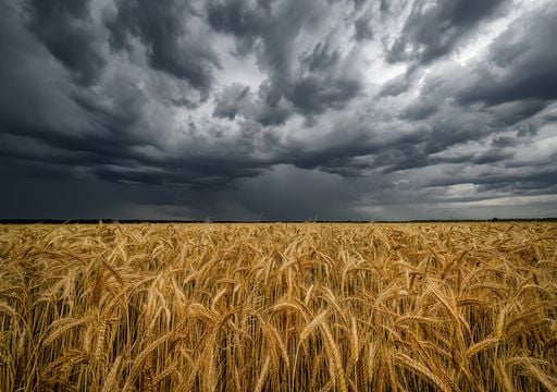 Respiro t&eacute;rmico: en la semana del 17 al 23 de agosto habr&aacute; d&iacute;as con temperaturas bajas para la &eacute;poca