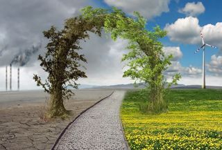 Respuestas desde la Educación y la Comunicación al Cambio Climático