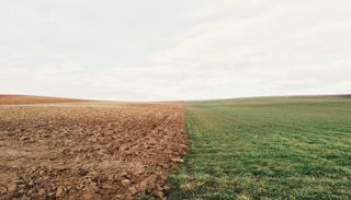 Restaurar el suelo, la forma m&aacute;s r&aacute;pida para ayudar a enfriar el planeta