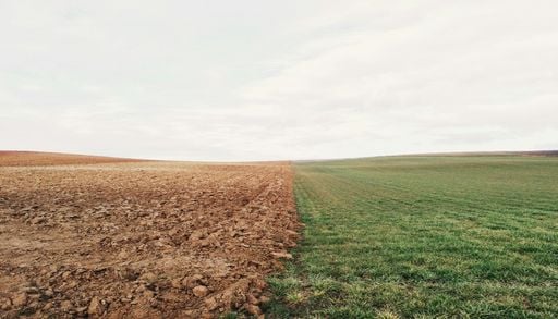 Restaurar el suelo, la forma m&aacute;s r&aacute;pida para ayudar a enfriar el planeta