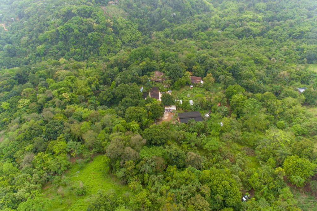 Mata atlantica, Rio de Janeiro