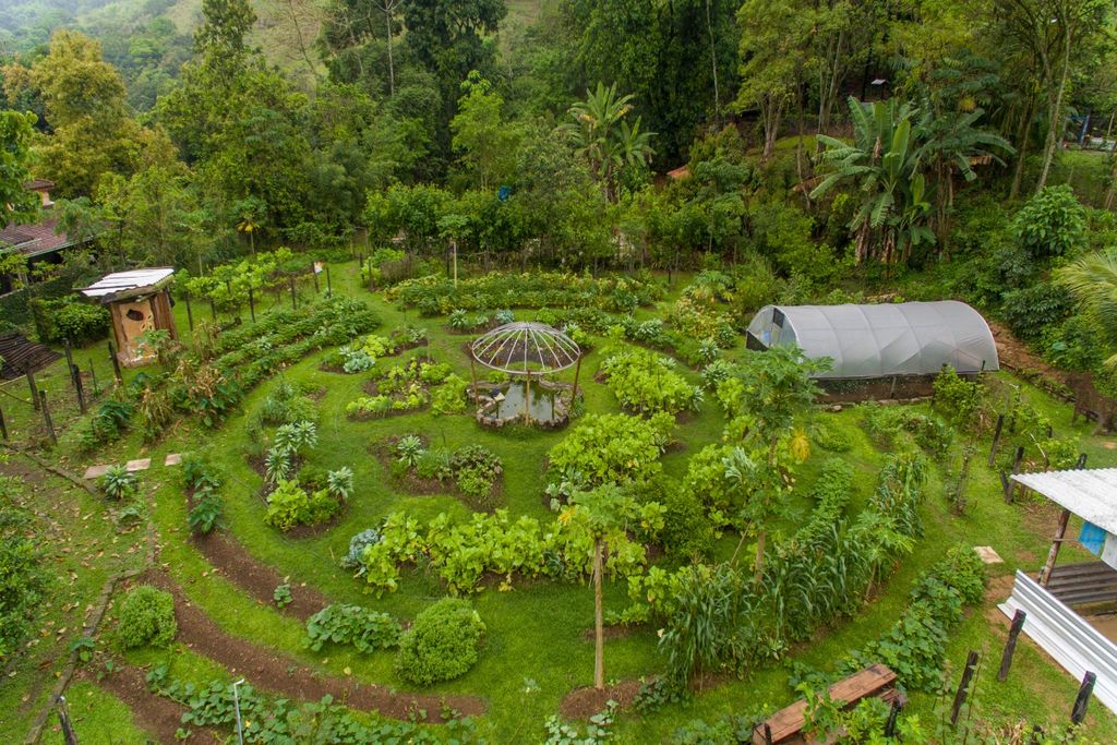 PACTO, mata, produtores rurais