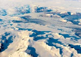 Restos fósiles en la cumbre de Groenlandia demuestran que fue una tundra verde con flores hace menos de 1 millón de años