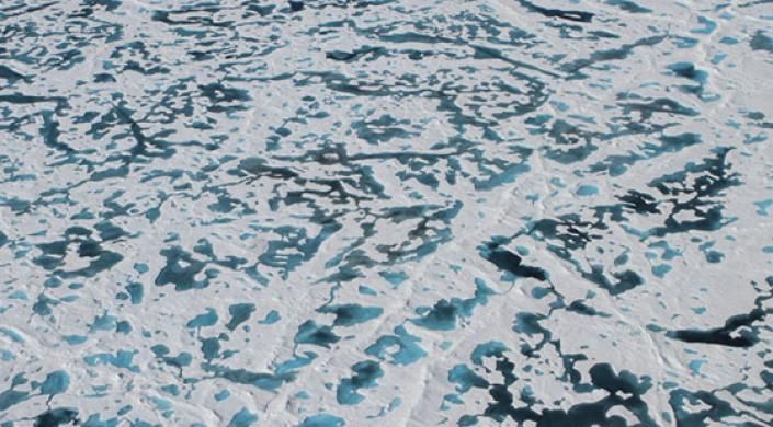 Resuelven El Misterio Del “hielo Verde” Las lagunas de deshielo en la delgada capa de hielo flotante del Ártico contribuyen a que se den las condiciones adecuadas para la proliferación de colonias de algas bajo el hielo. Imagen cortesía de NASA