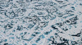 Resuelven el misterio del “hielo verde”