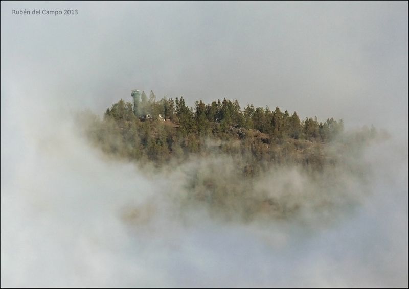Resultado Del Concurso Fotográfico De Septiembre 2013 En Meteored 4ª POSICIÓNEl bosque flotante Autor: Erruben
