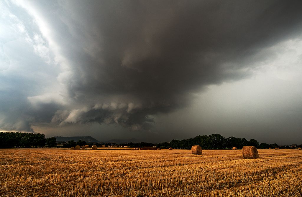 2º Puesto: Arcus a ras del suelo de Emili Vilamala Benito.