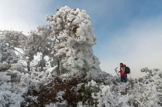 Resultado del Concurso Meteoreportaje convocado por la Asociación Meteorológica Española
