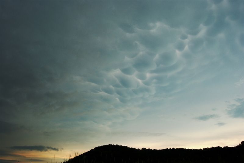 Mammatus al atardecer 3ª Posición Compartida (a) Mammatus al atardecer