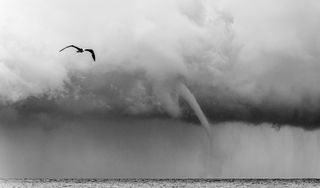 Resultados del CONCURSO'2014 de fotos de la AME