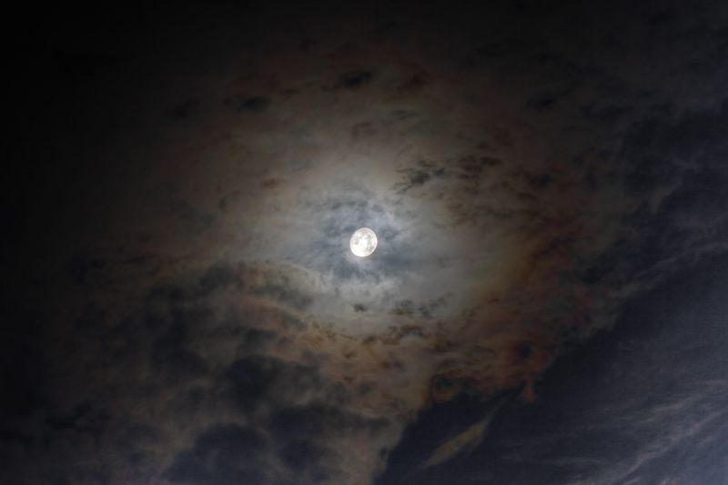 10ª Posición (B): Colores en la noche de Delonix