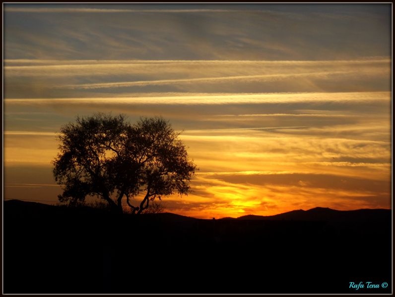5ª Posición: Puesta de sol con cirros de RaaFiiLla_vLc_89