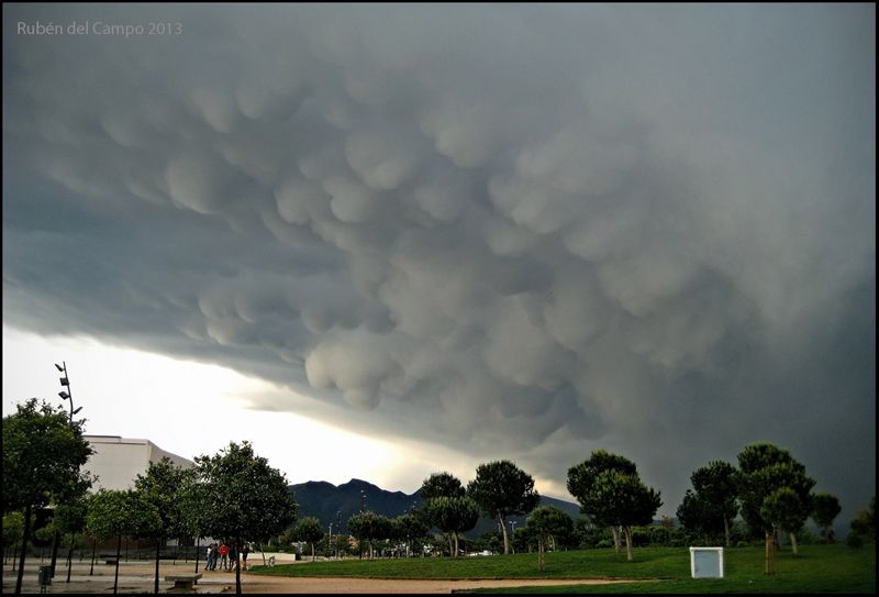 Mammatus castellonensis 2ª Posición: Mammatus castellonensis de Ruben del Campo, erruben.