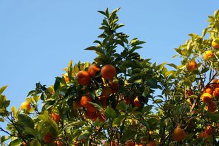 Resumen climatológico del invierno 2018-2019 en Comunidad Valenciana