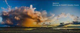 Resumen de agosto de 2020 en un vídeo