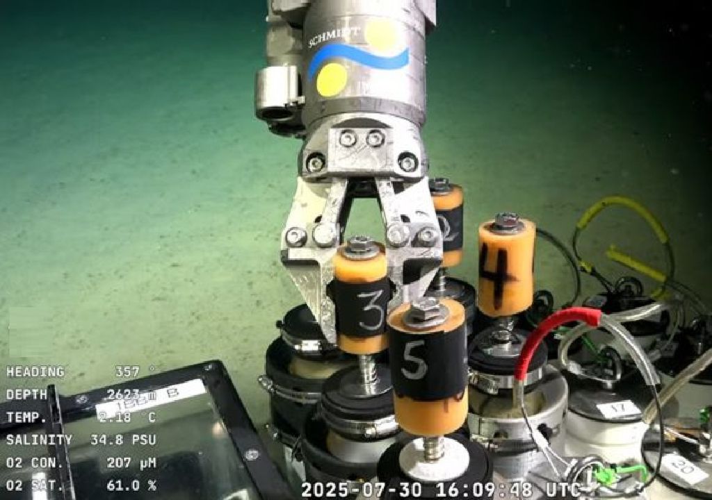 la primera vez que en aguas argentinas del Atlántico Sudoccidental se emplea el vehículo operado remotamente (ROV) SuBastian, capaz de capturar imágenes submarinas en ultra alta definición y recolectar muestras sin alterar el entorno.