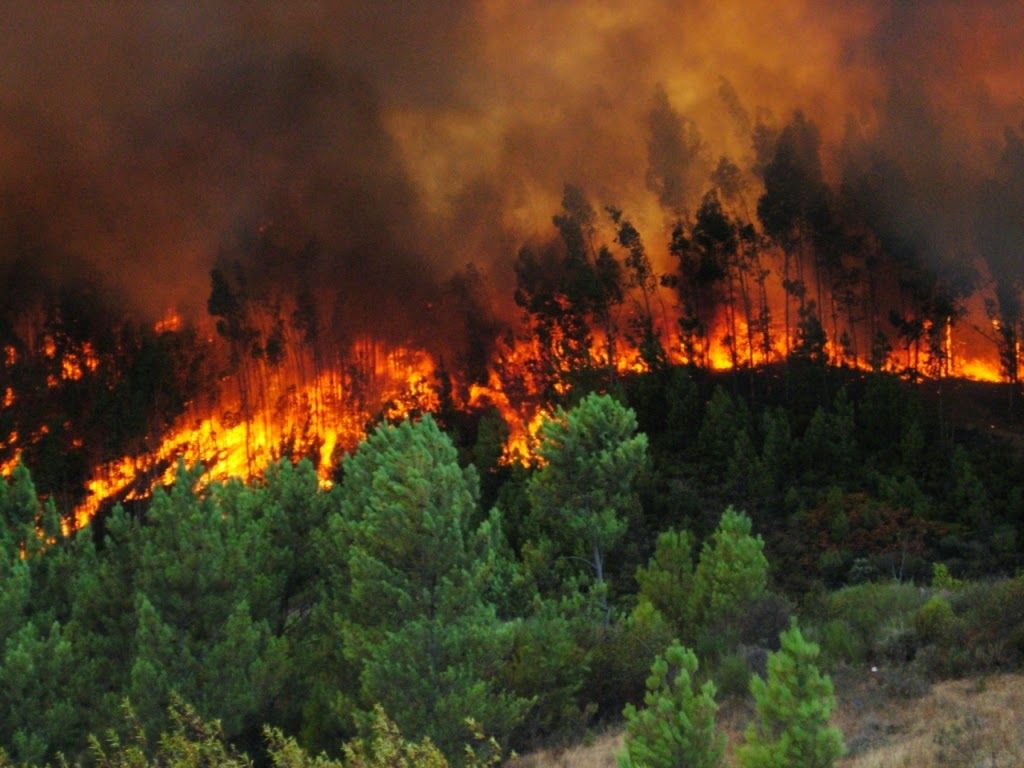 Varios incendios afectaron México en abril de 2019