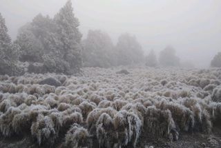 Resumen meteorológico de enero y, ¿qué nos espera para febrero?