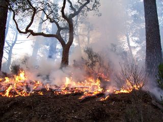 Resumen meteorológico de marzo y previsión para abril