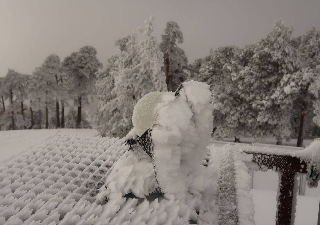 Formación de hielo (cencellada) característico de montañas