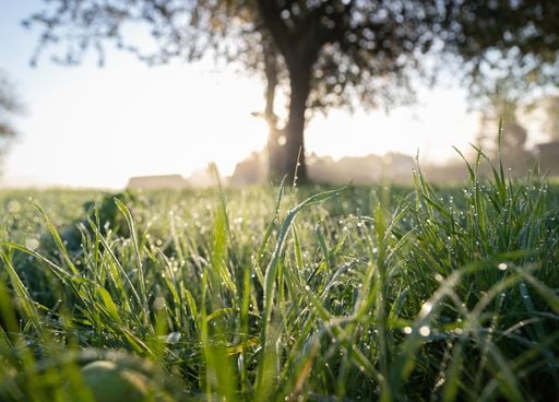 Retour d'un flux continental en fin de semaine prochaine ? Du froid ou timide douceur en France ?