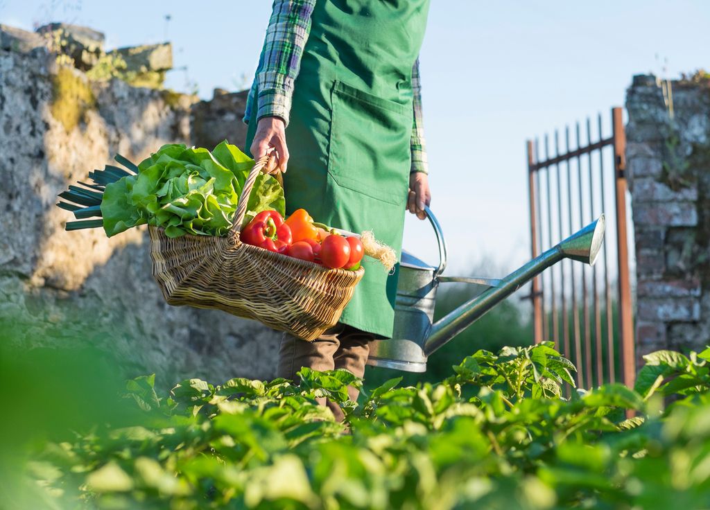 Pour avoir un beau jardin, il faut un bon sol mais aussi l'entretenir !