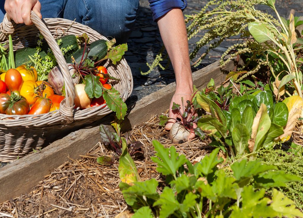 Garder un sol couvert est idéal pour éviter qu'il soit exposé aux intempéries.