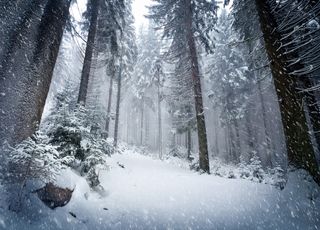Retour de la neige sur les Alpes françaises : l'hiver va-t-il s'installer tout du moins en montagne ? 