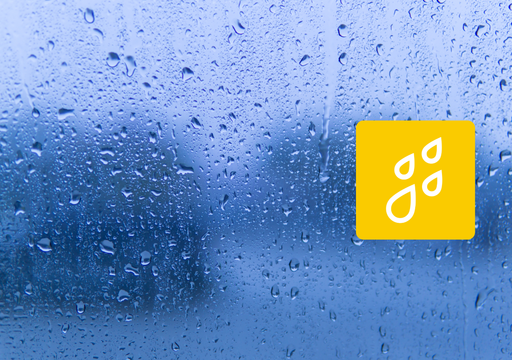 Retour de la pluie en France : que penser de ces tendances ? D&eacute;couvrez nos informations