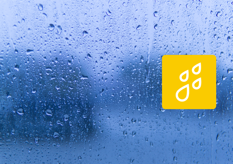 Retour de la pluie en France : que penser de ces tendances ? D&eacute;couvrez nos informations
