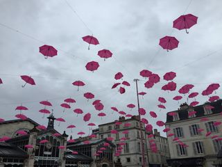 Retour de la pluie : une simple pause sur le front de la sécheresse ?