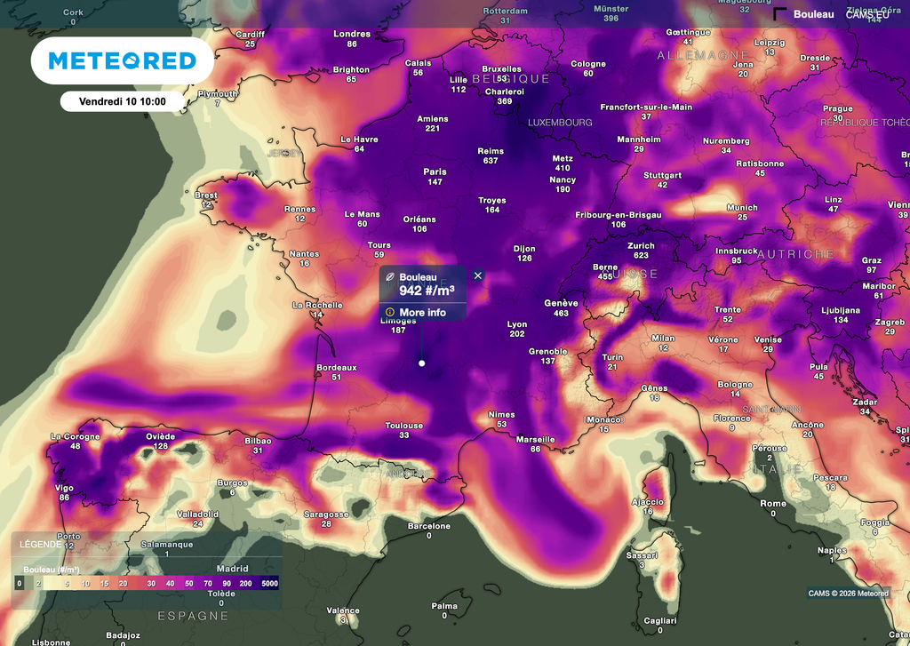 Un air chargé de pollens jusqu'à samedi. Un air chargé de pollens jusqu'à samedi.
