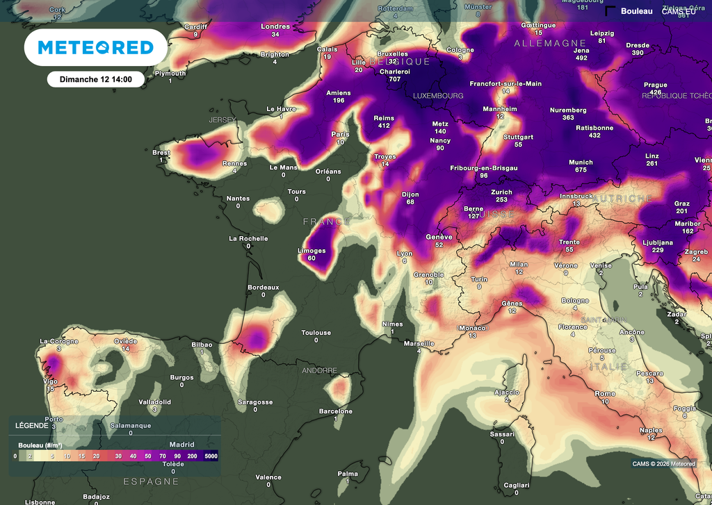 Les pollens de bouleaux seront un peu moins présents dimanche, surtout dans l'ouest. Les pollens de bouleaux seront un peu moins présents dimanche, surtout dans l'ouest.