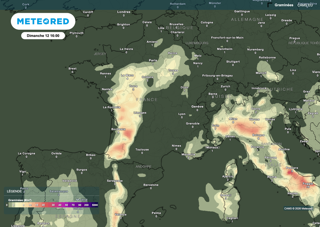Des pollens de graminées relativement peu présents pour le moment. Des pollens de graminées relativement peu présents pour le moment.