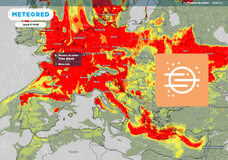 Retour des pluies en France : les pollens seront-ils enfin moins nombreux ? Voici les pr&eacute;visions m&eacute;t&eacute;o