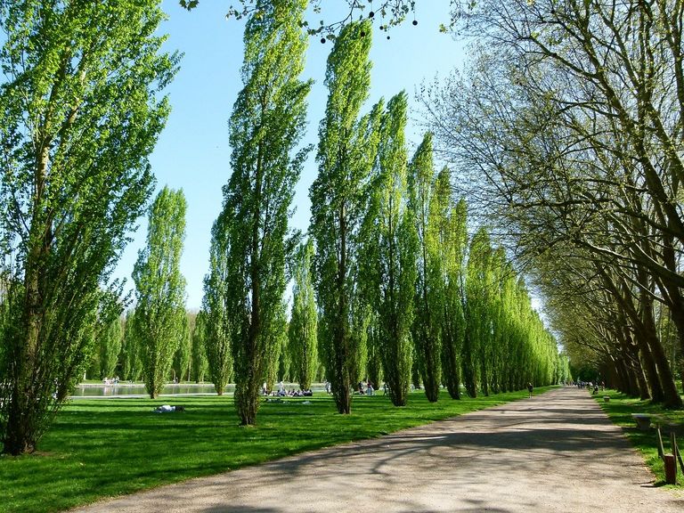 Sceaux Sceaux