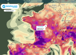 The return of good weather in France... but also grass pollen: which regions are affected this weekend?