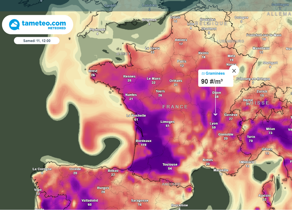 Concentration pollens graminées France samedi 11 mai