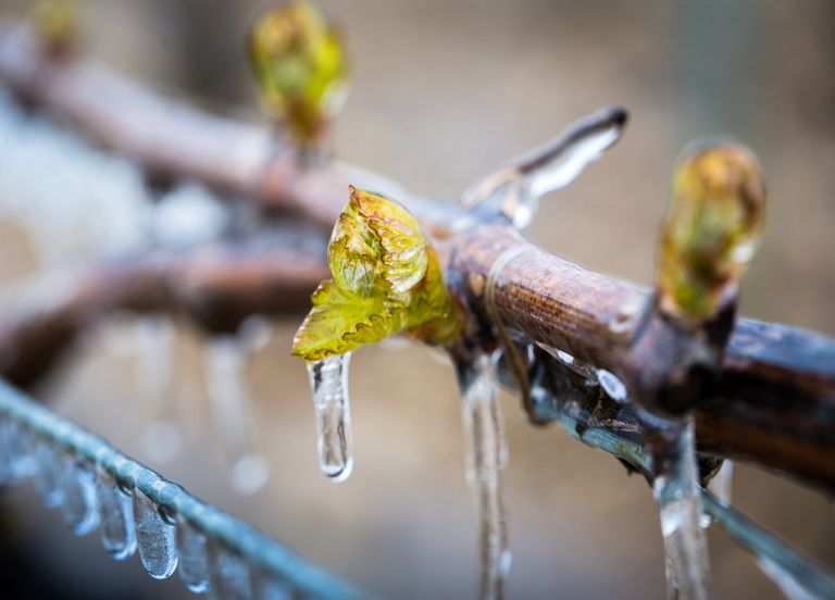 Retour du froid : quelle sera l’ampleur de la baisse des températures ? Retour du froid : quelle sera l’ampleur de la baisse des températures ?