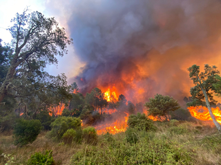 Rétro 2021 : une année entre gel tardif, tempête estivale et incendies