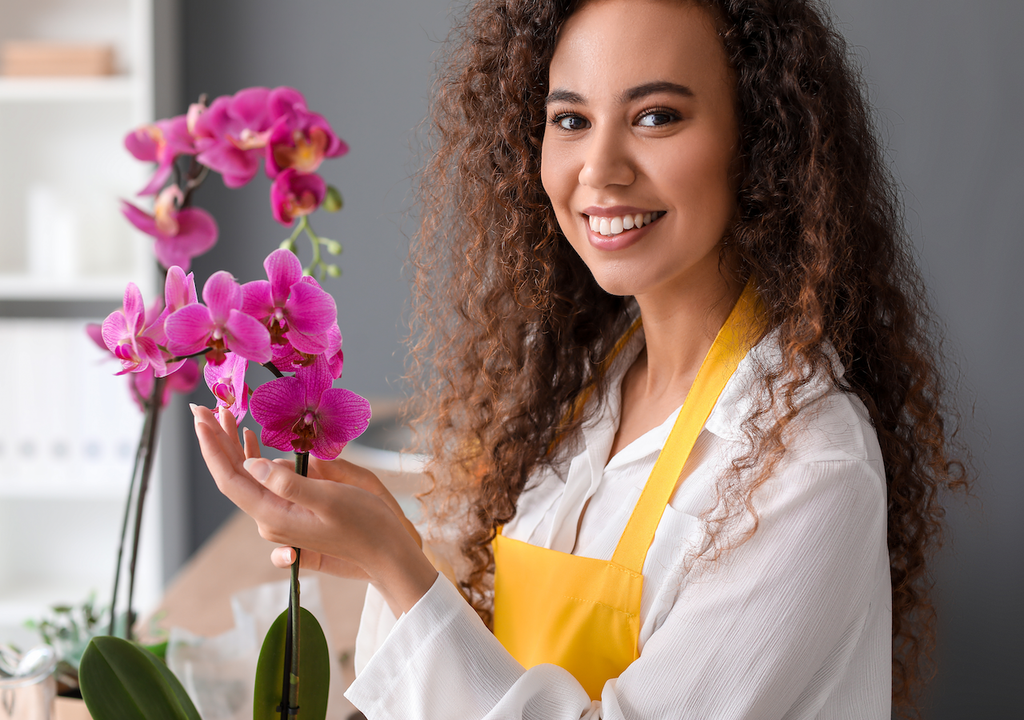 Orchideenpflege, Blütenpracht, zu Hause Orchideenpflege, Blütenpracht, zu Hause