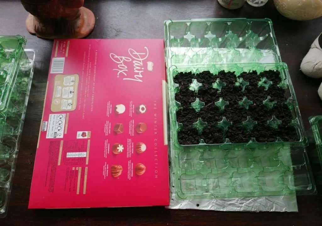 Não deite fora uma boa caixa de chocolate ou uma lata de biscoitos, podem ser exatamente o que precisa para guardar as suas mudas em crescimento! Crédito: Stephanie Leonida