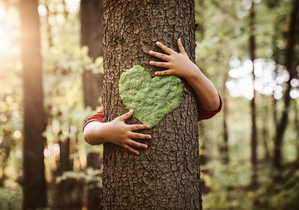 Persona abrazando un árbol, corazón verde