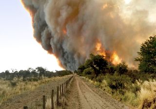 Revelan el poder destructivo de los incendios en la provincia de La Pampa