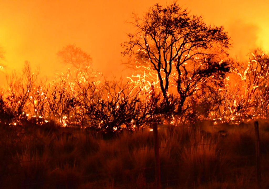 Efecto humano incendios