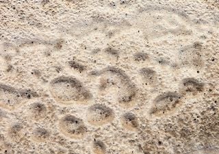 Estudo revela que uma &uacute;nica gota de chuva move dez vezes mais terra gra&ccedil;as a uns misteriosos "donuts" de areia