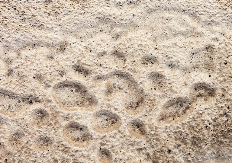 Revelan que una sola gota de lluvia mueve diez veces m&aacute;s tierra gracias a unos misteriosos &ldquo;donuts&rdquo; de arena