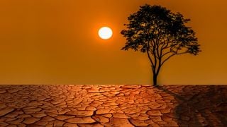 Sorpresa entre los científicos: el reverdecimiento global provoca una pérdida significativa de humedad en el suelo